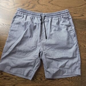 ZARA Men's Gray/ Blue Shorts Sz.L (J3)